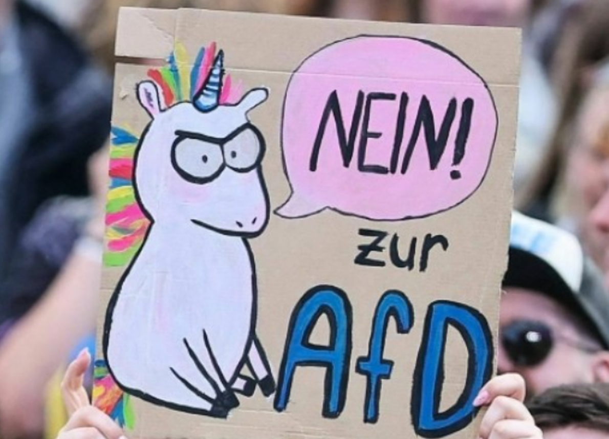 Protestplakat "Nein zur AfD"